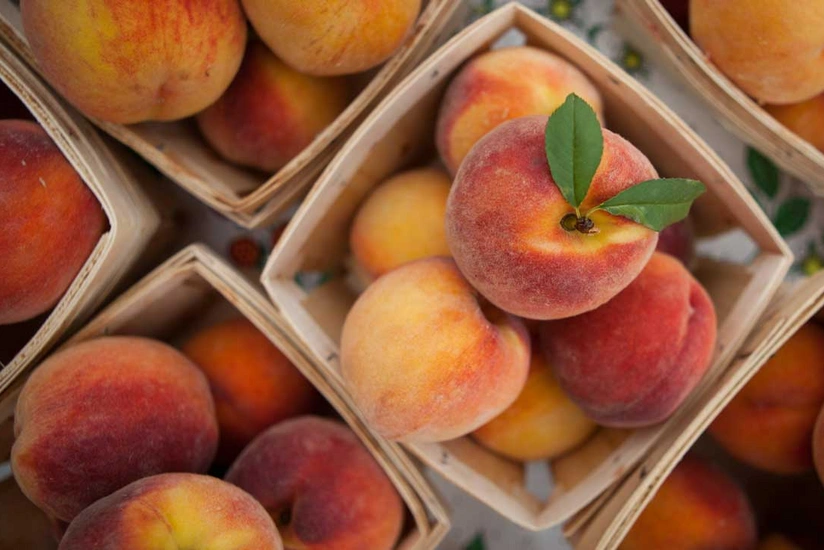 43429196-52f6-33cf-bb24-e938a75019a8_825