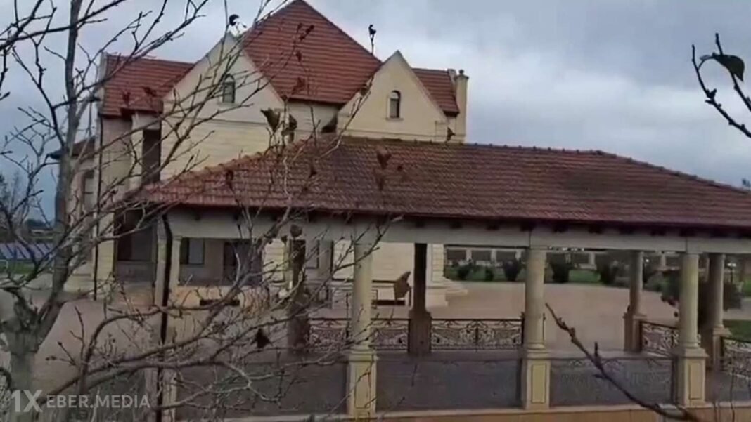 2025-12-06-15-02-28zekvbi1u50oihkuwk05v_file