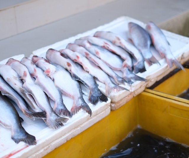 ravi-sharma-rd5rxvLUHAo-unsplash